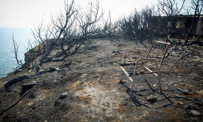 Έτσι παγιδεύτηκαν οι 25 άνθρωποι στο οικόπεδο του θανάτου! «Ήμουν ο τελευταίος, πίσω μου άκουγα ουρλιαχτά»! – Βίντεο